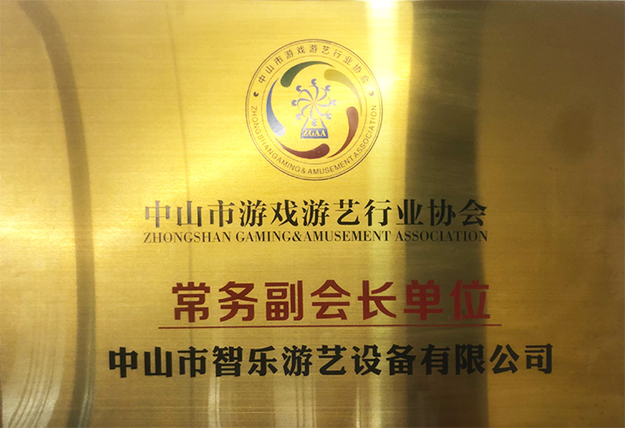 智乐中山市游戏游艺行业协会常务副会长证书